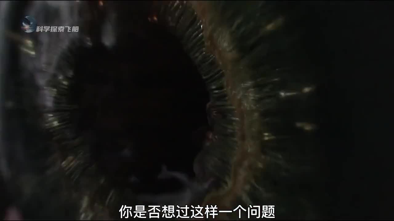 细思极恐的蚂蚁宇宙观到底谁才是这个宇宙的蚂蚁颠覆你的认知