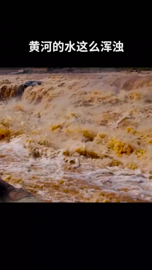 黄河的水这么浑浊为什么大鱼还可以生存