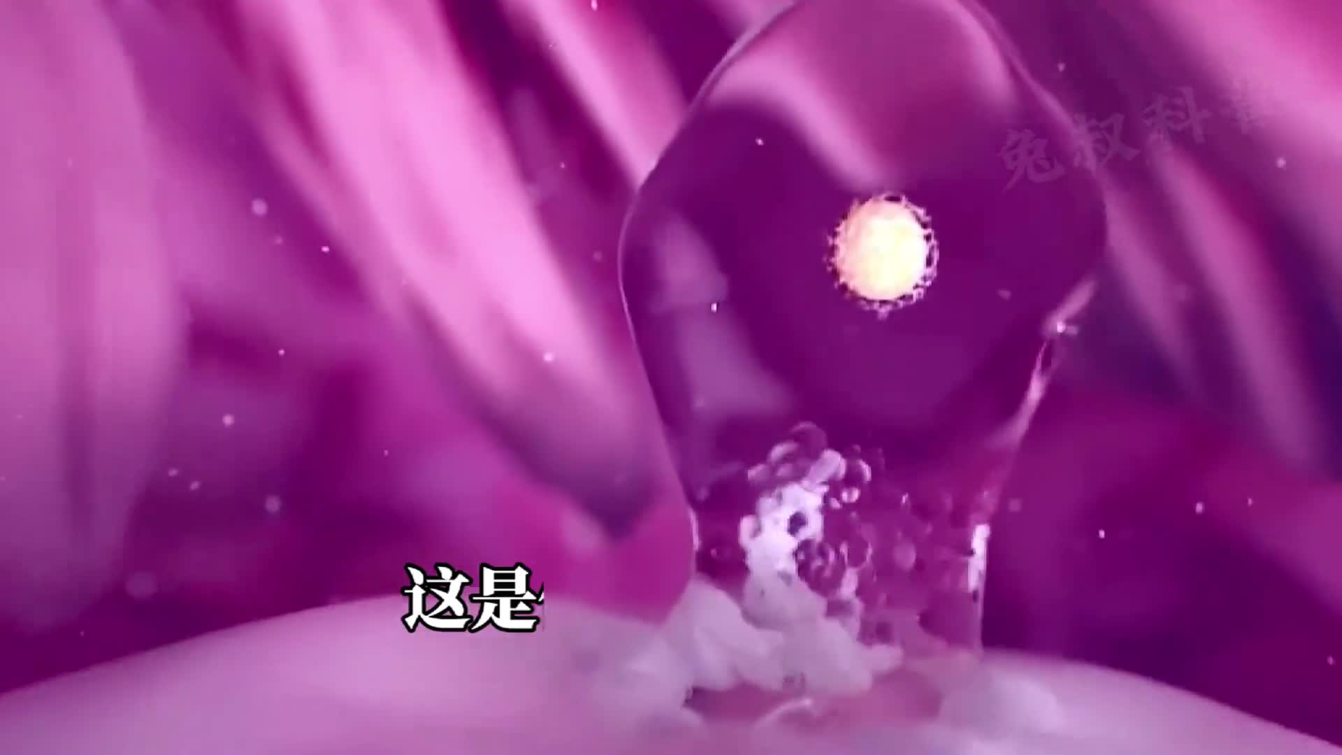 一起来观赏你我的生命诞生从蝌蚪蜕变人的过程真的很神奇