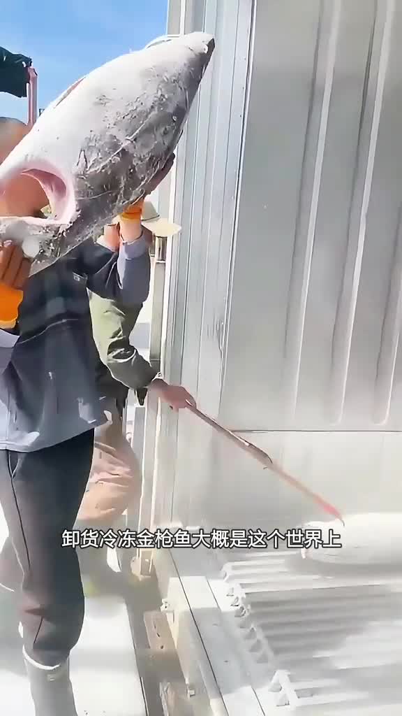 冷冻金枪鱼正确的卸车方法