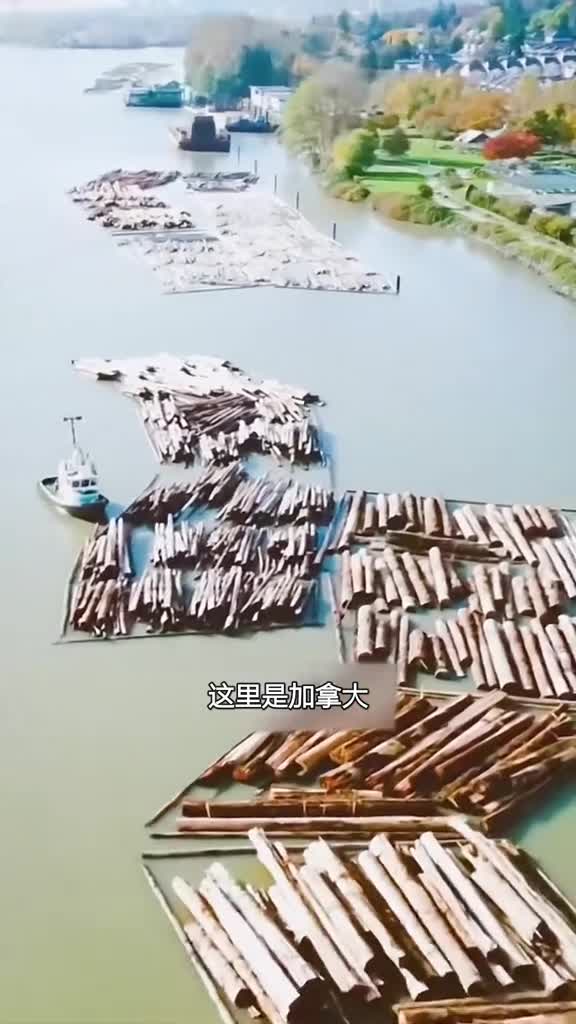 加拿大人独特的运木材方式