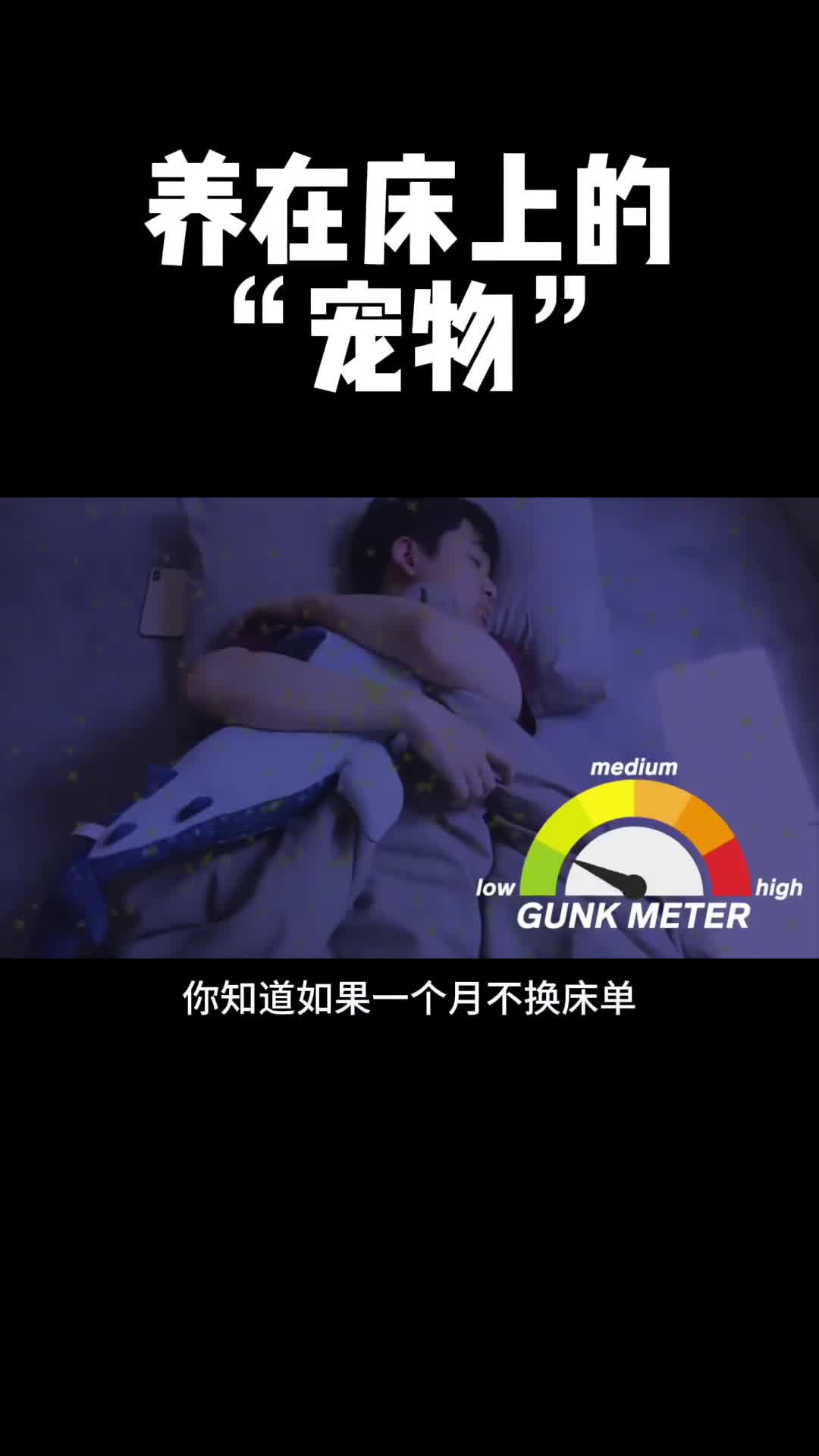 你的床上是不是也养了很多这样的宠物