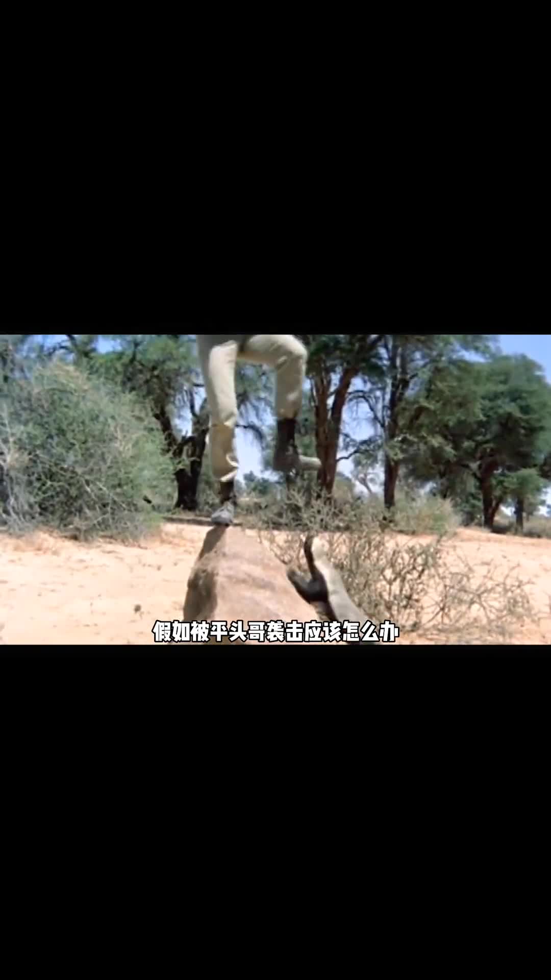 遭遇平头哥袭击应该怎么办