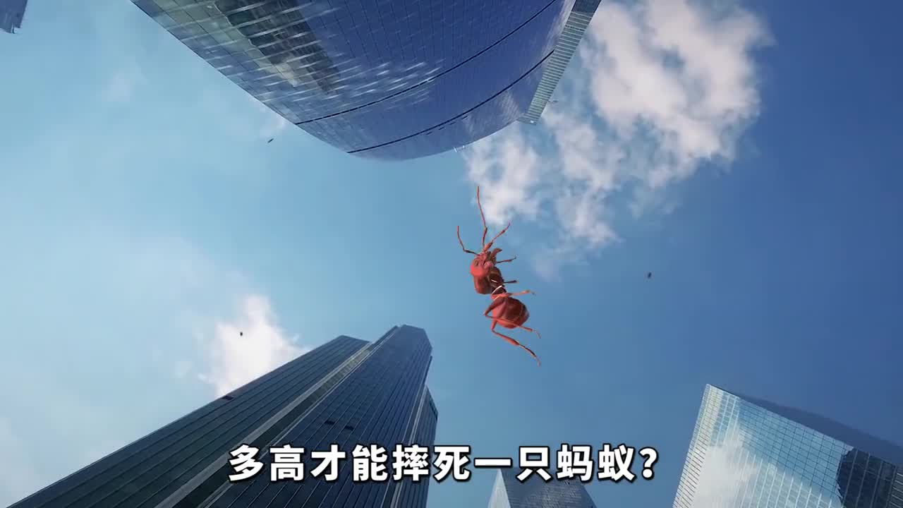 多高才能摔死一只蚂蚁