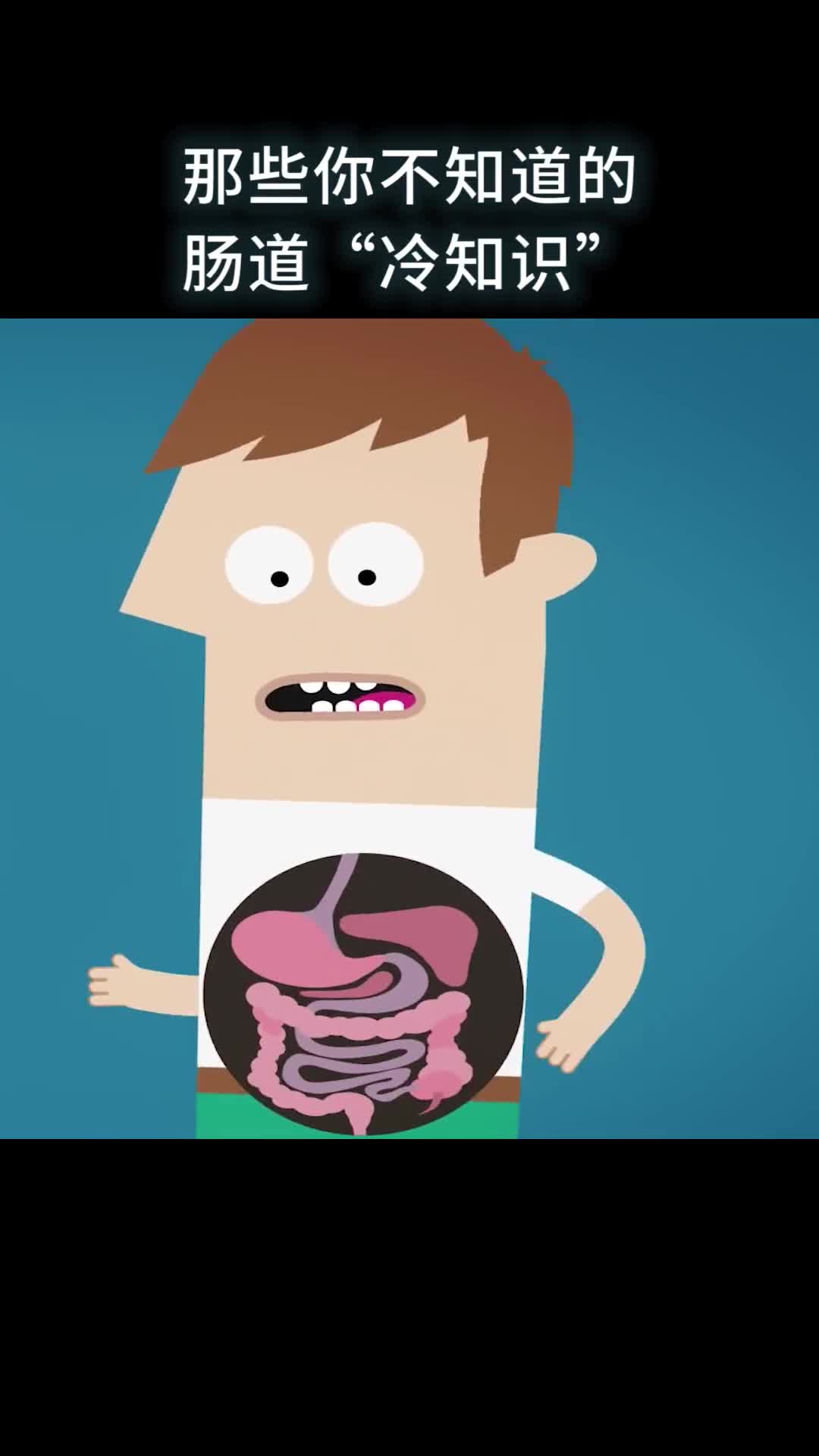 你的肠道一生消化的食物竟然比12头大象还要重但是这些肠道冷知识你知道吗