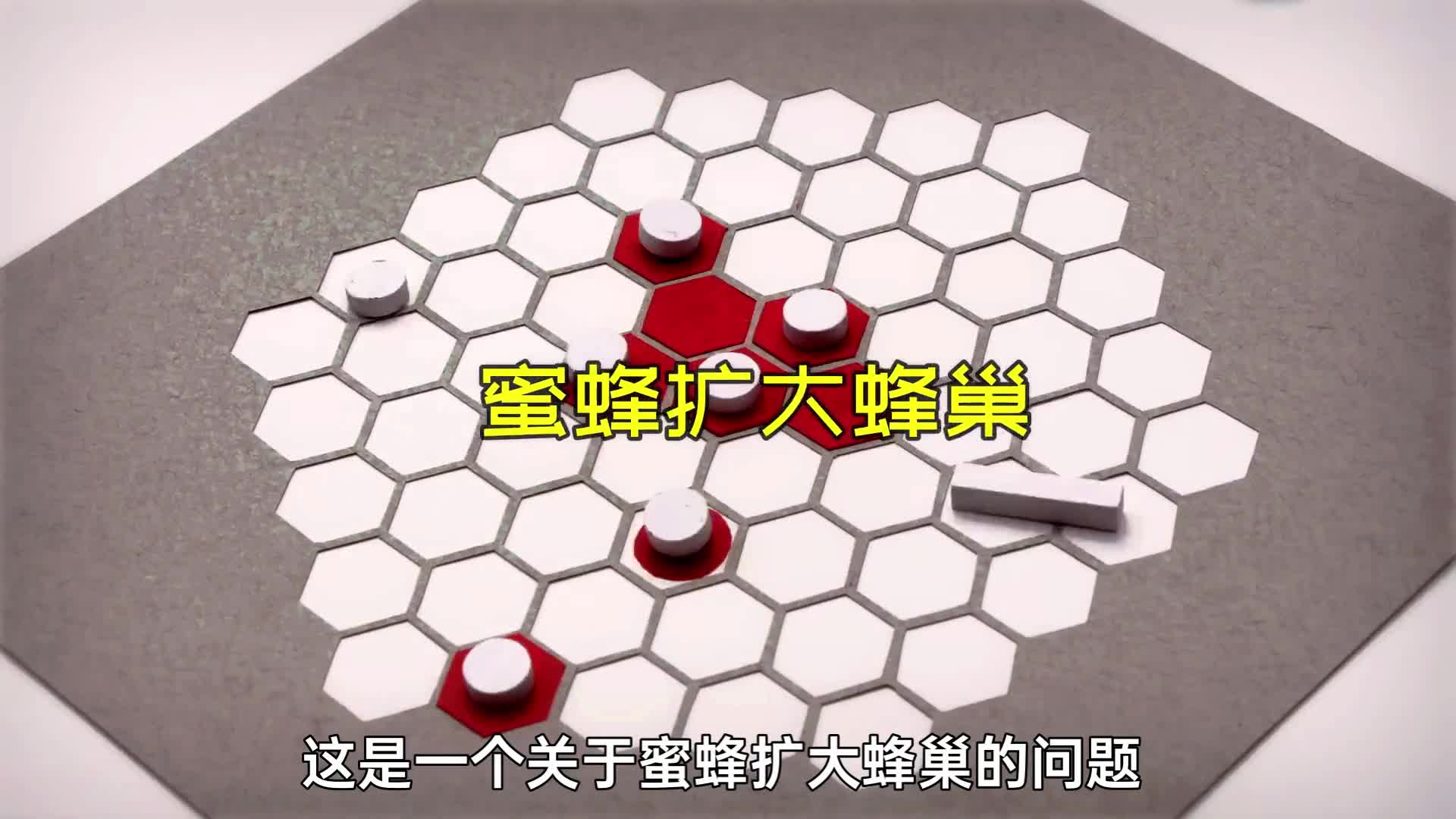 蜜蜂生存问题如何使用数学知识改造更多的蜂巢