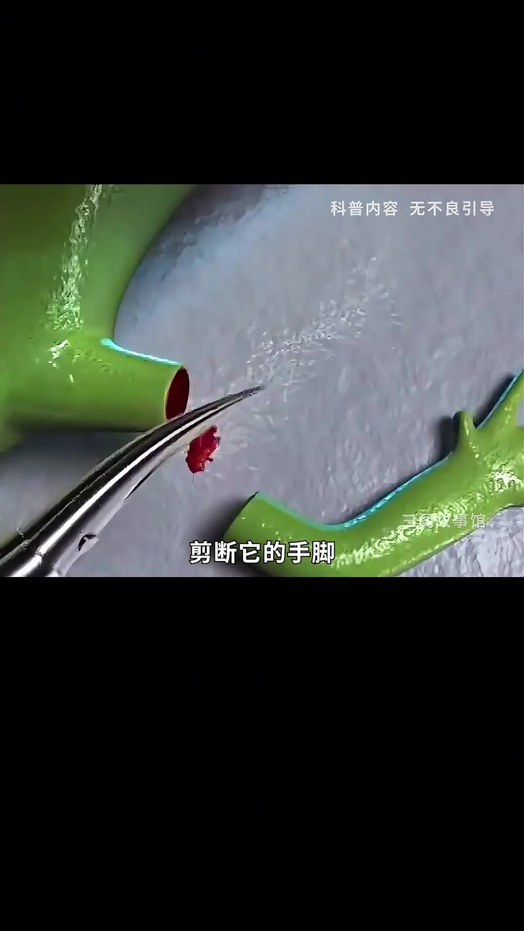 蝾螈拥有不死之身的秘密到底是什么