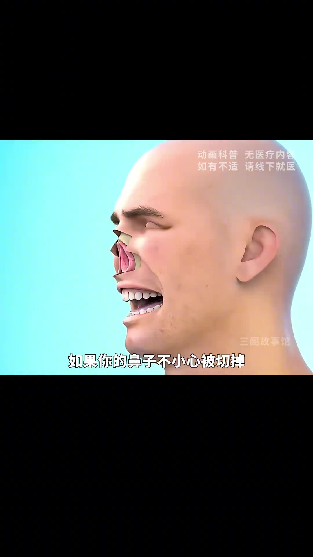 鼻子没了竟然还能重生