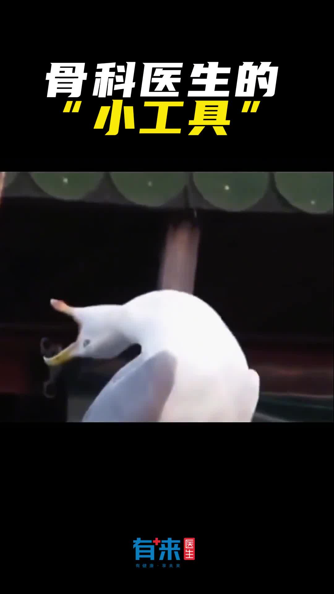 你永远猜不到骨科医生都有哪些工具