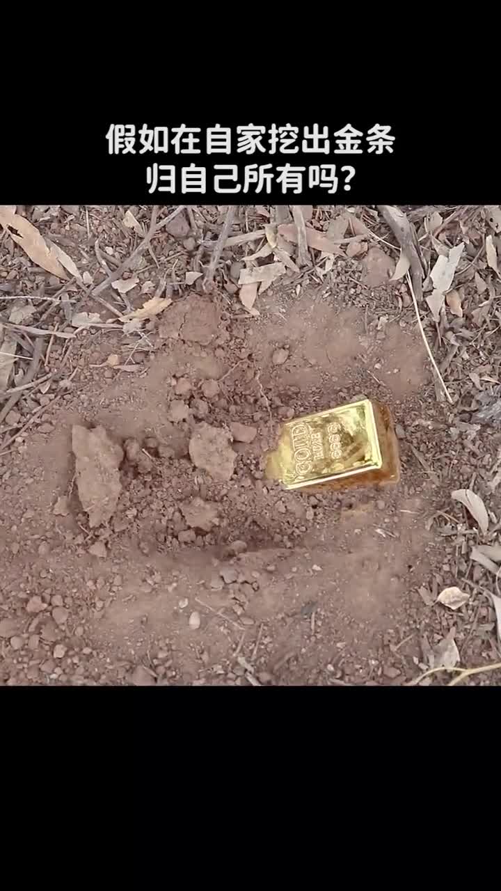 假如在自家挖出黄金归自己所有吗