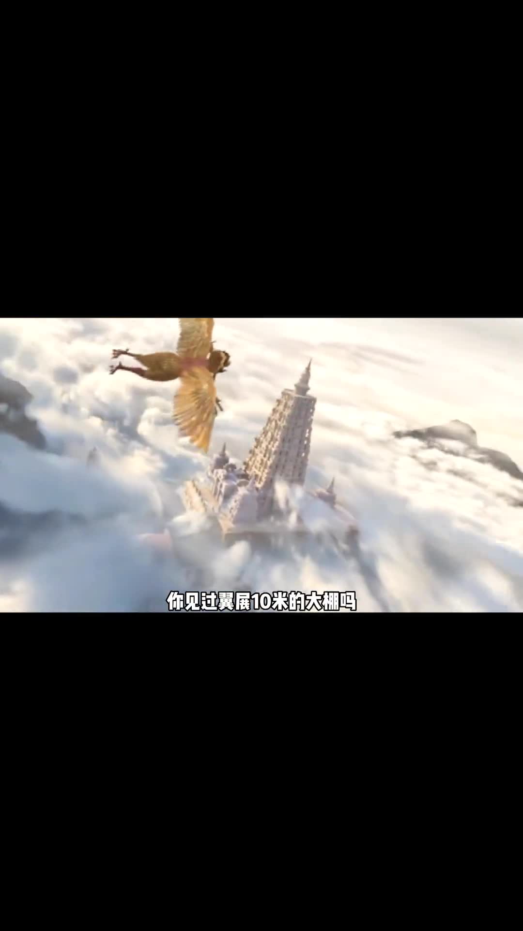 一颗心脏竟然重达500多斤地球上最大的五种动物器官到底有多大