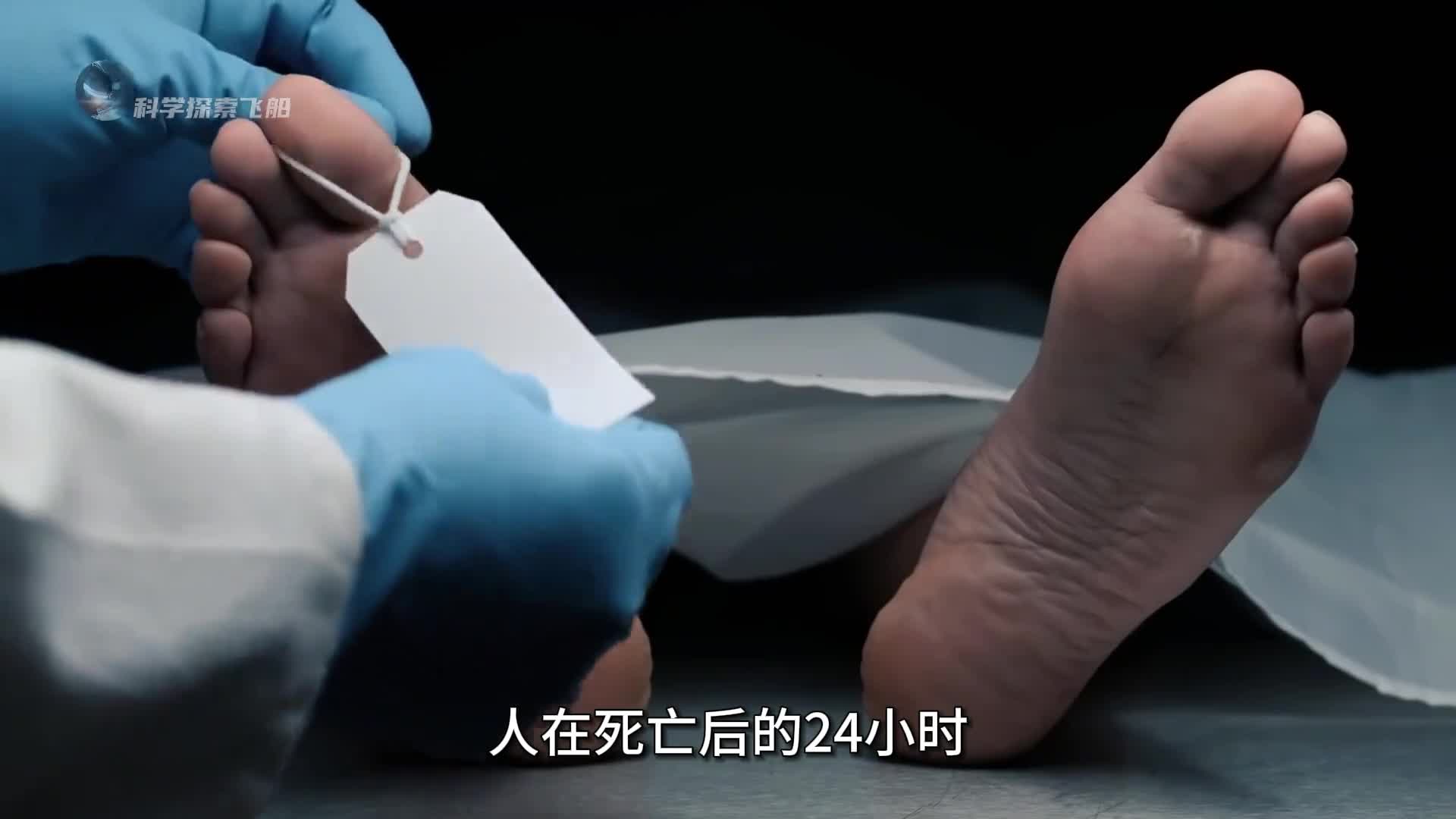 根据熵增定律每个人都将化作尘土那么生命的意义到底是什么