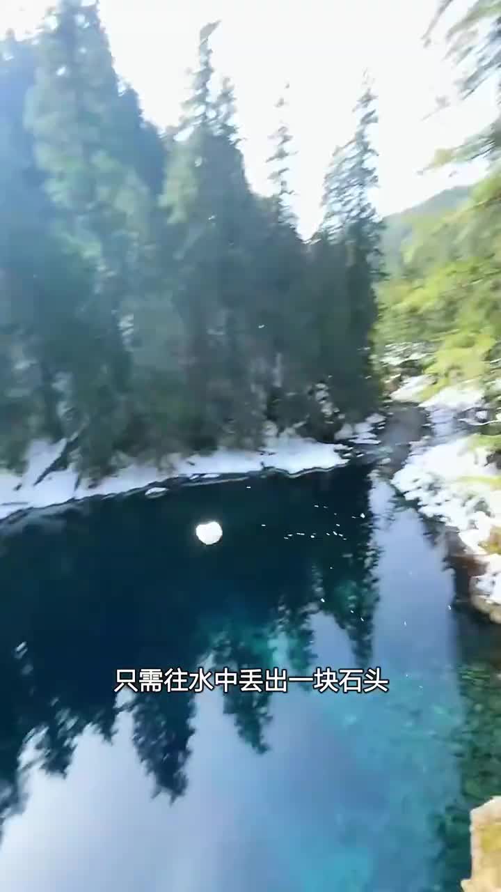 跳水前要知道的事