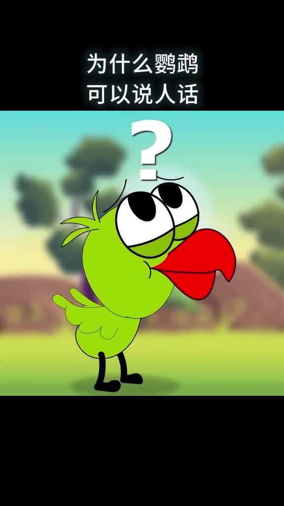 鹦鹉为什么会说人话你还知道其他可以说人话的动物吗