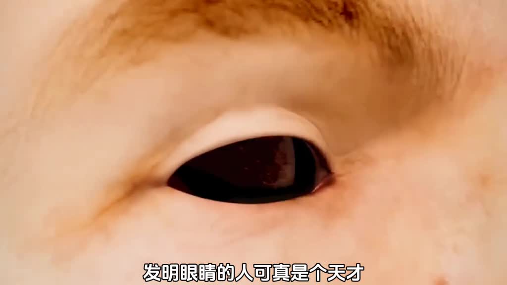 如果失去两颗眼球我们的身体会发生什么变化