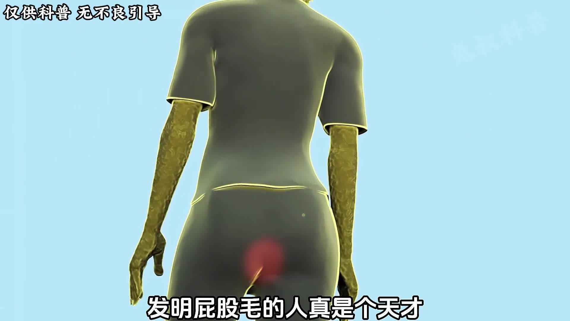 为什么男性屁缝里会长毛难道这些毛毛有什么神奇作用