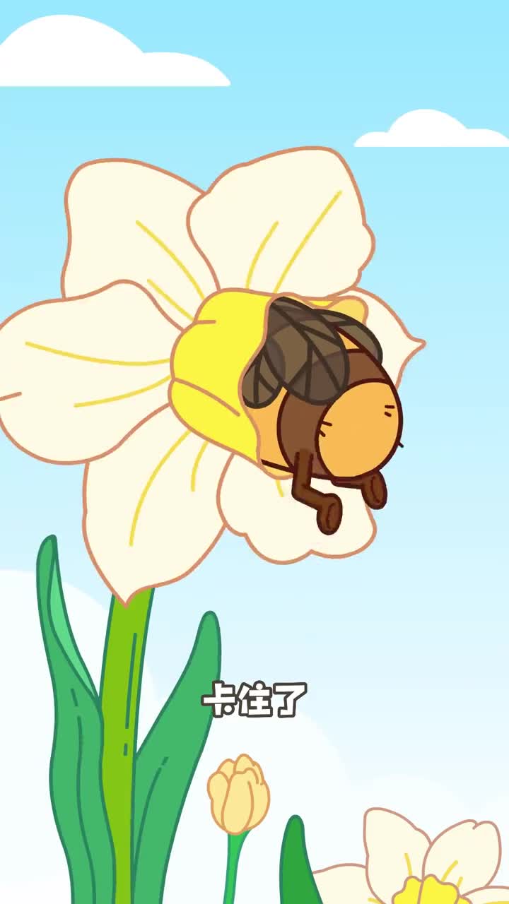 什么熊蜂竟然用屁股采蜜