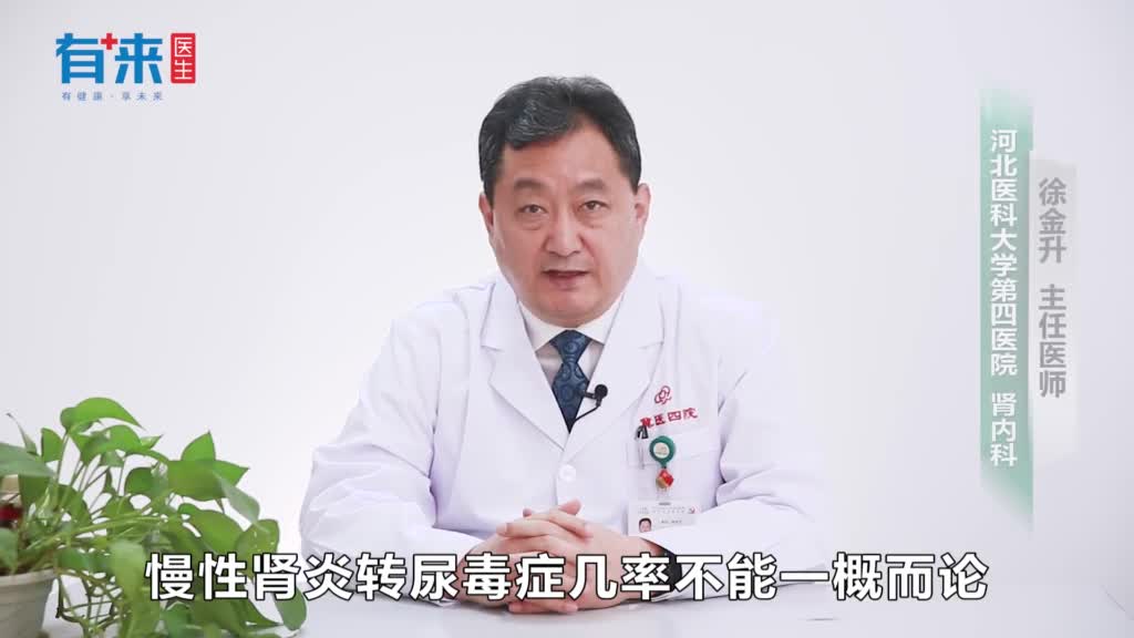 慢性肾炎转尿毒症几率