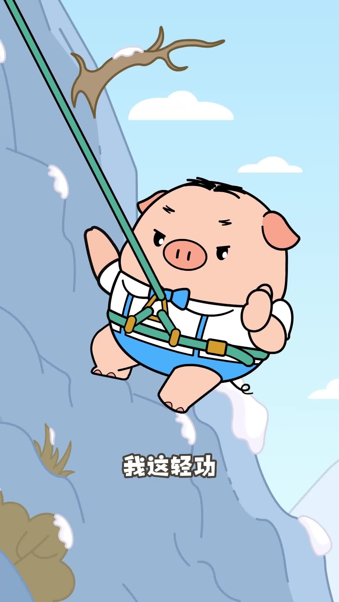 雪豹可是高山上的武林盟主