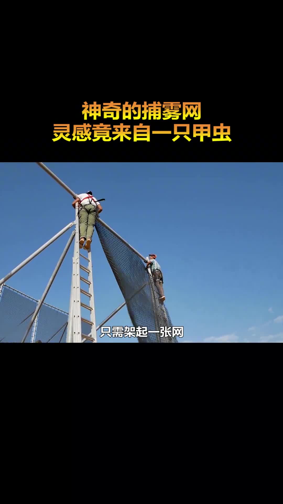 甲虫请帮我申请一下专利谢谢