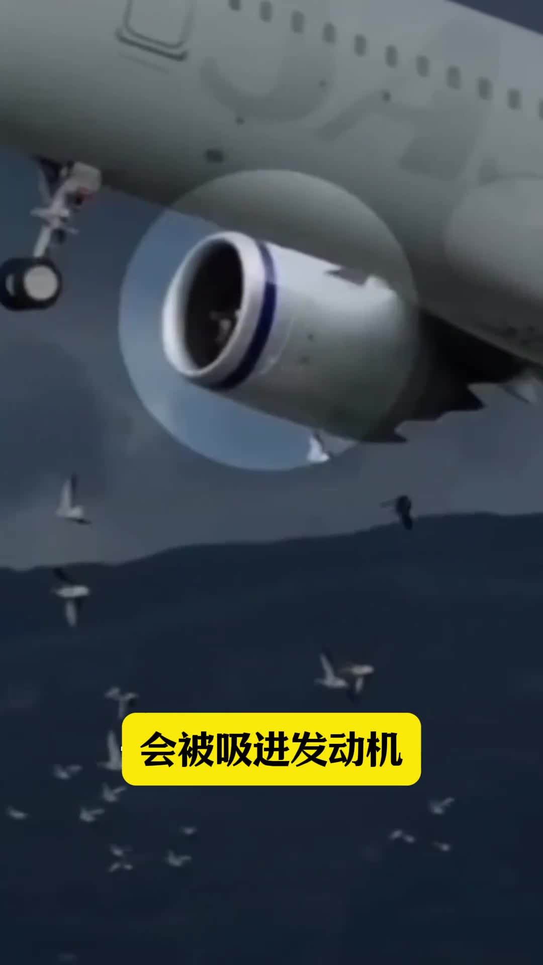 第161集丨为什么发动机前部不增加护网