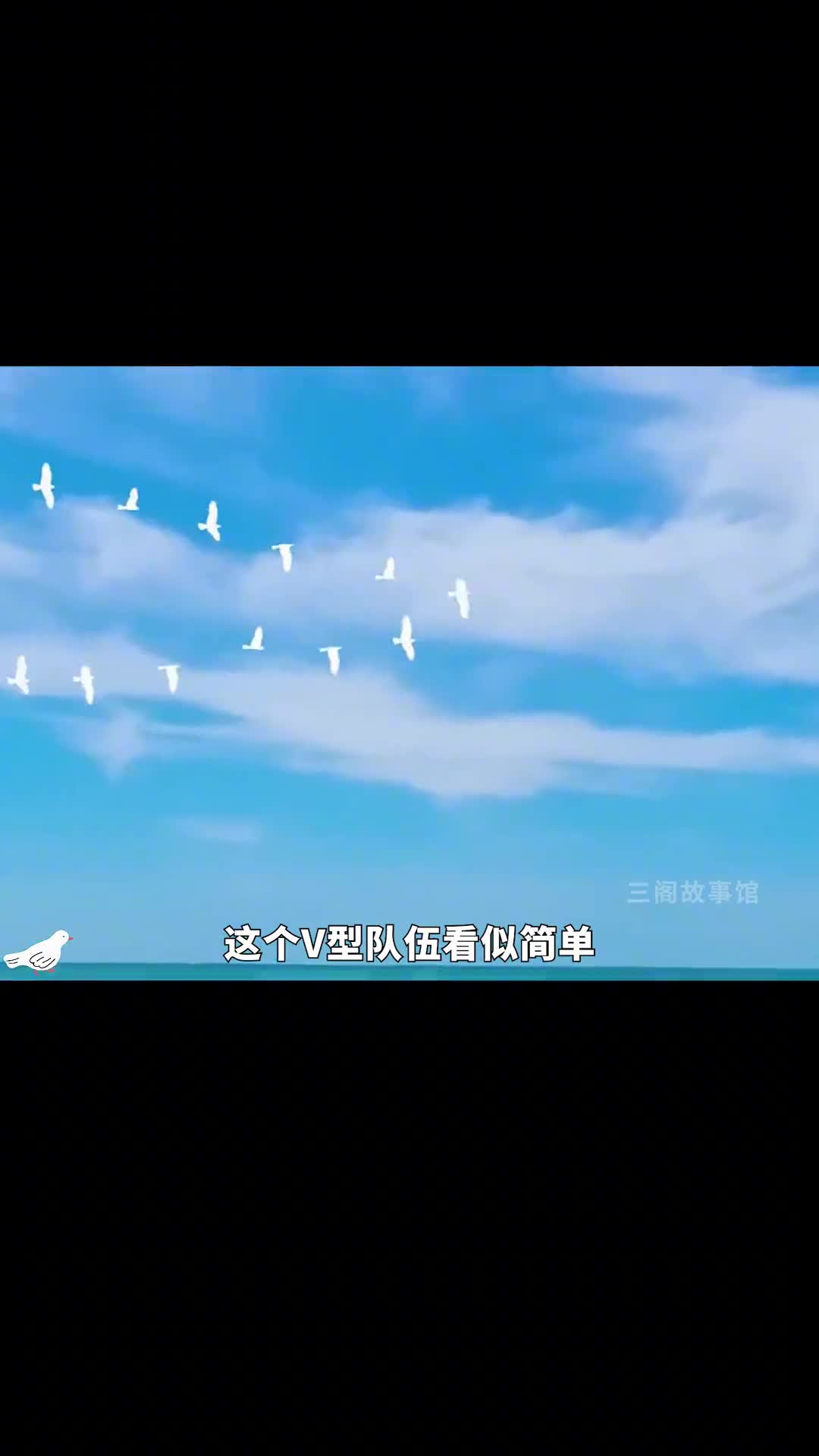 鸟类为什么以V字形飞行