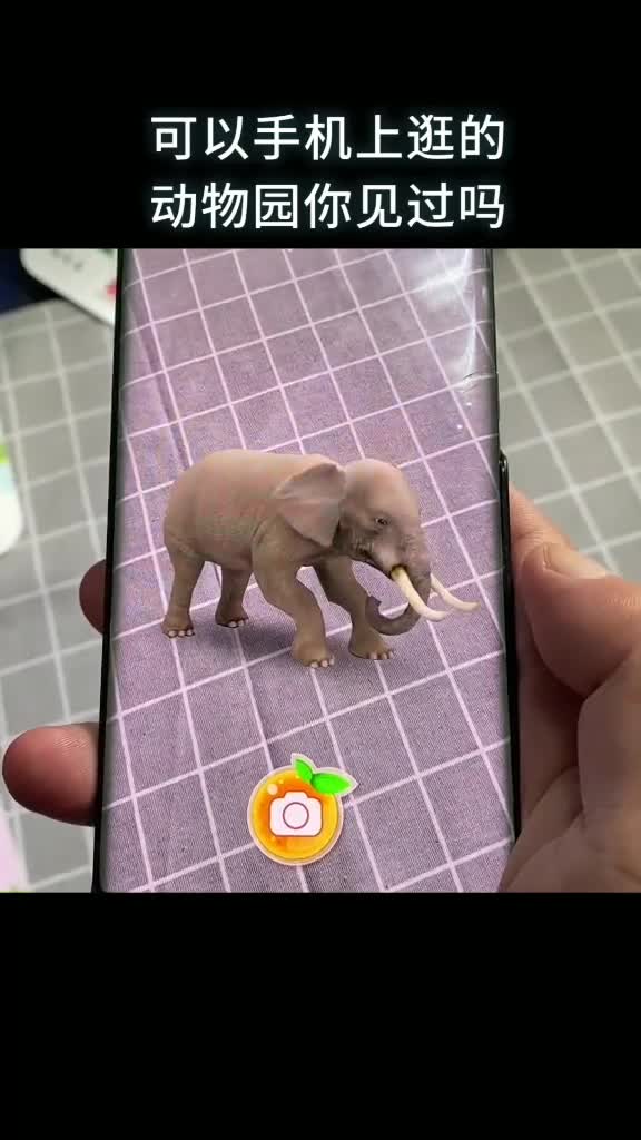 可以手机上逛的动物园你见过吗