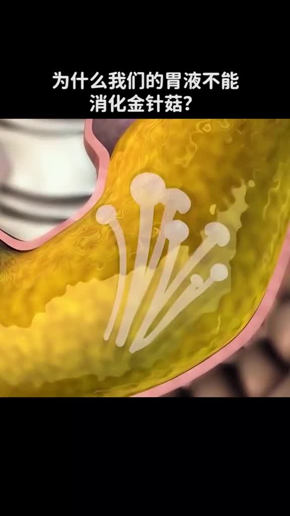为什么我们的胃液不能消化金针菇