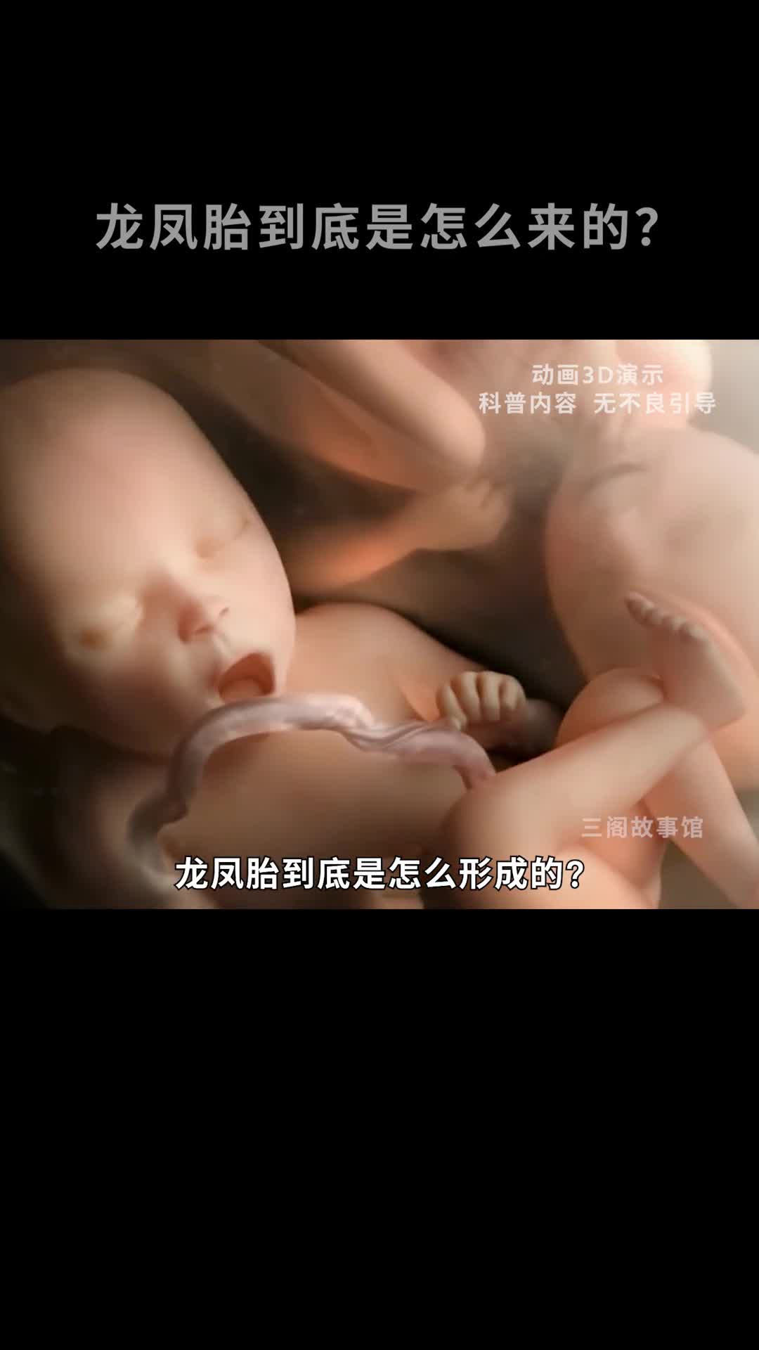 龙凤胎究竟是如何形成的