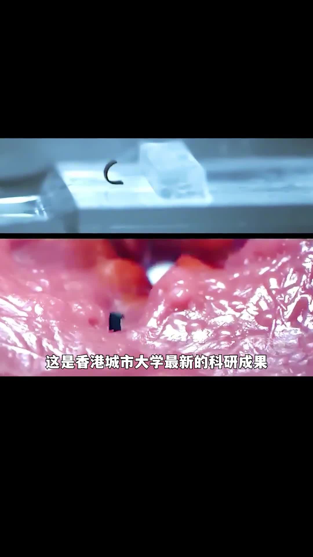 用猪皮制造机器人把药物精准送入体内