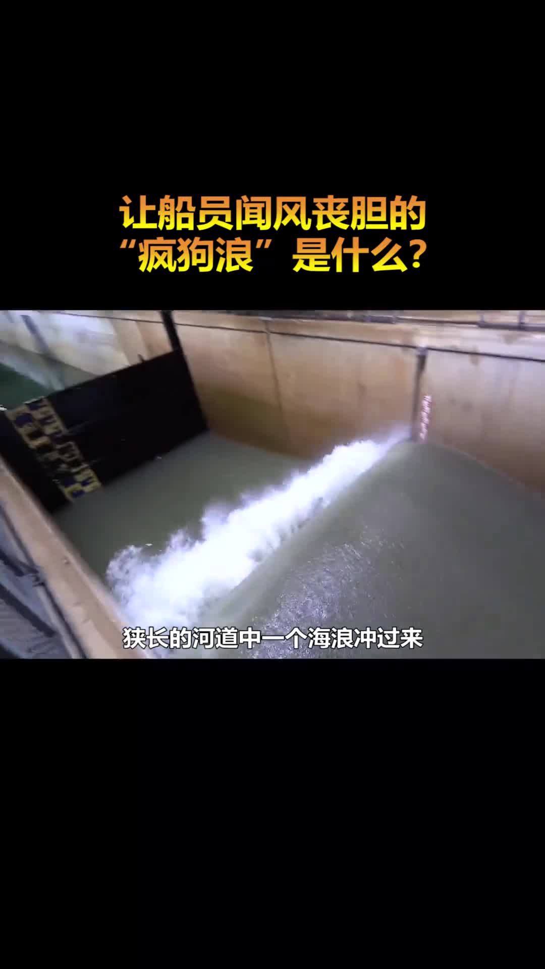 让船员闻风丧胆的疯狗浪是什么