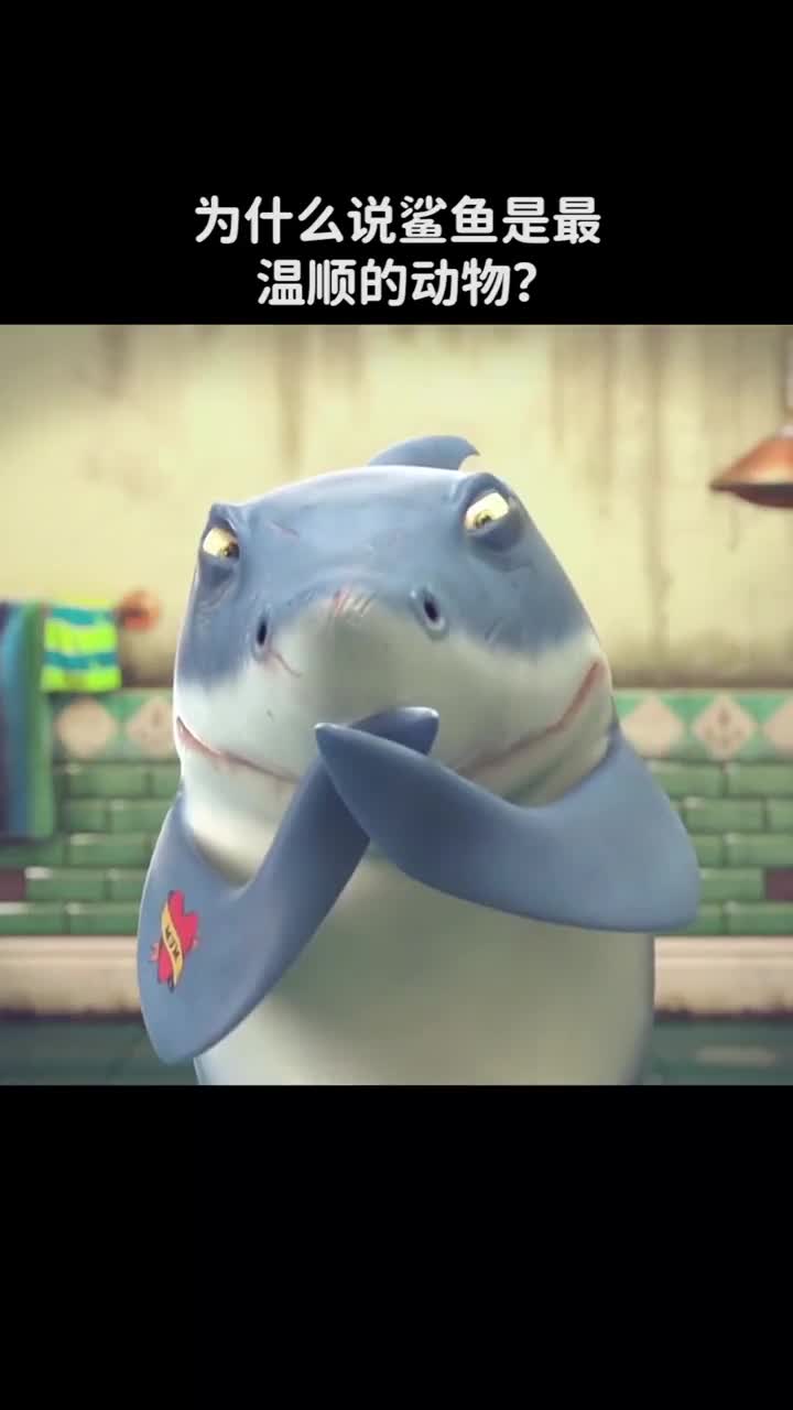 为什么说鲨鱼是最温顺的动物