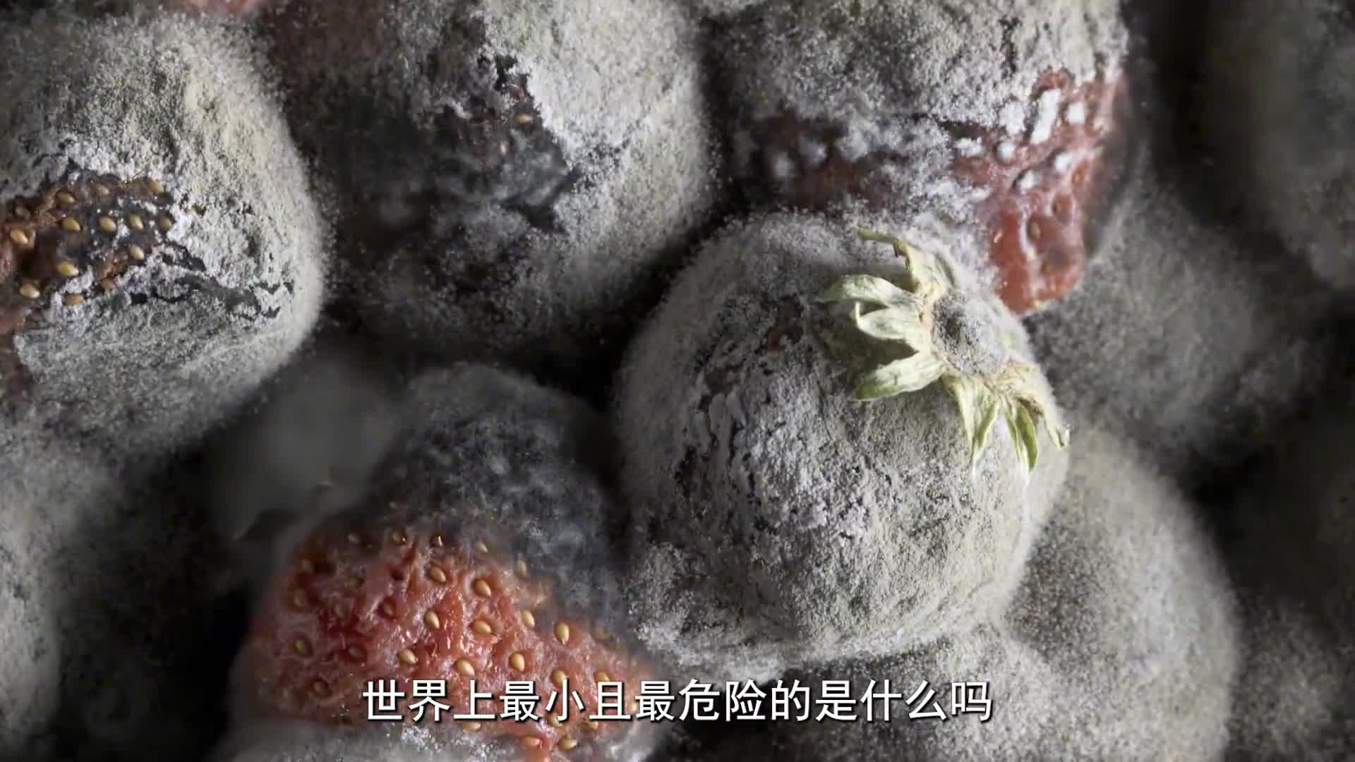 它看不见摸不着为什么能威胁我们的健康