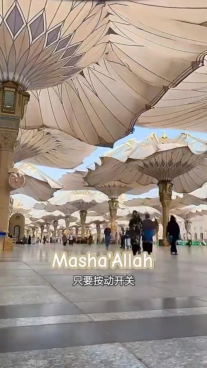 这是世界上最大的太阳伞每个价值100万美刀