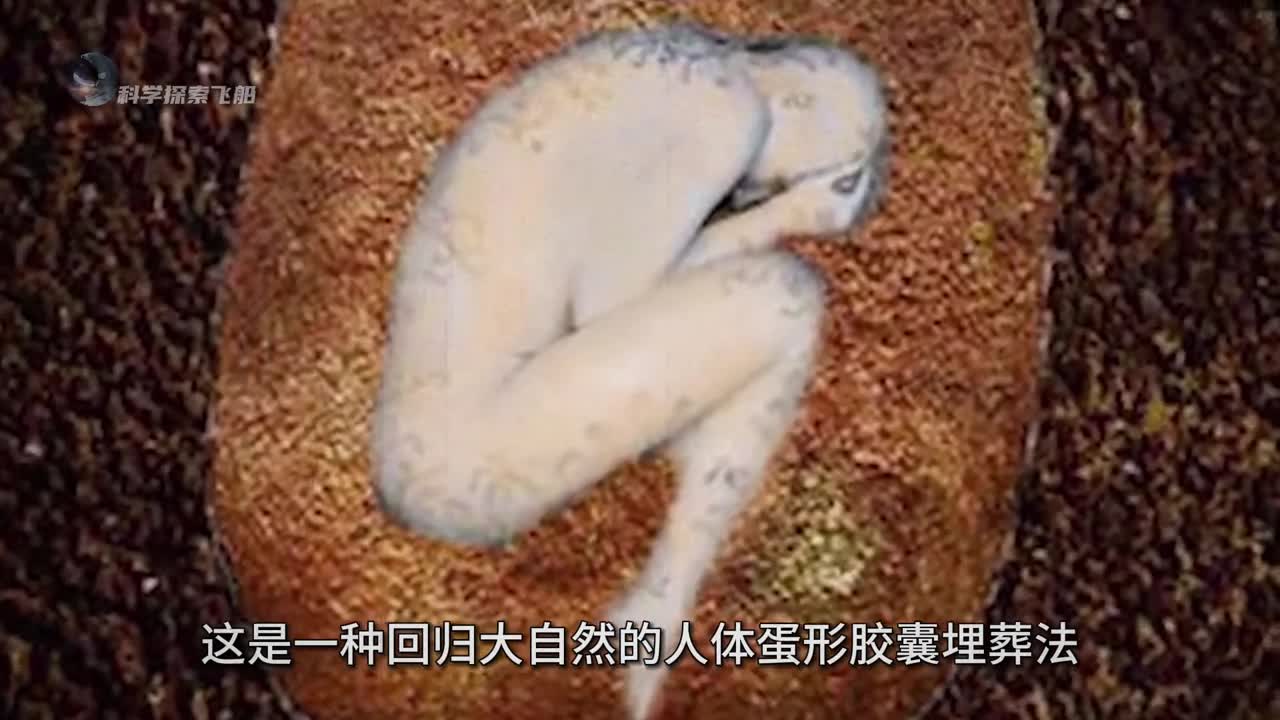 你愿意变成一棵树吗人体蛋形胶囊葬礼让生命以另一种方式延续