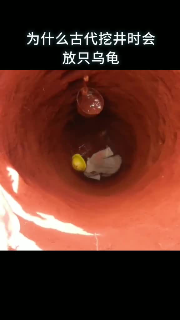 为什么古代挖井时会放只乌龟