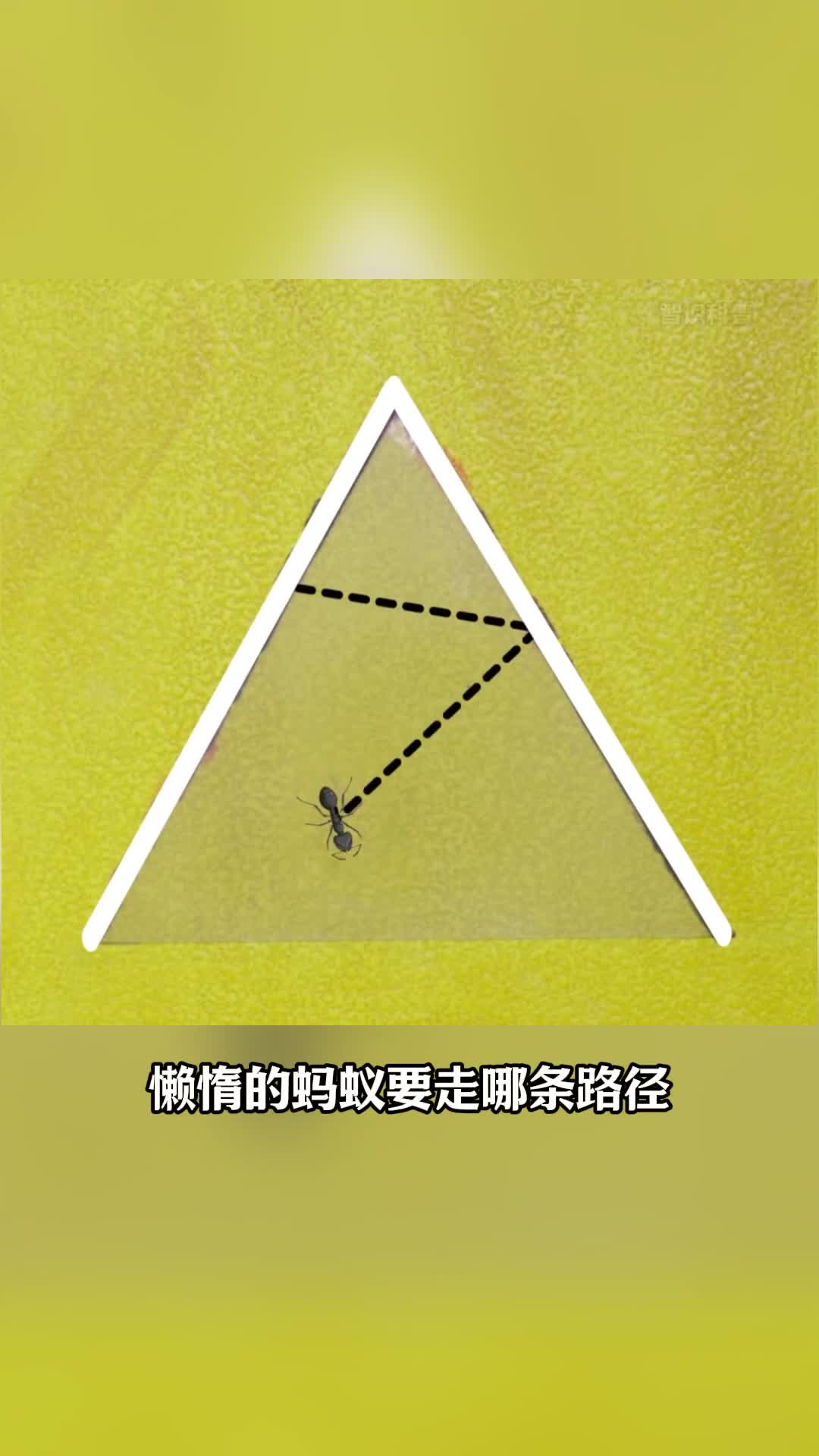 第129集丨最短的路径