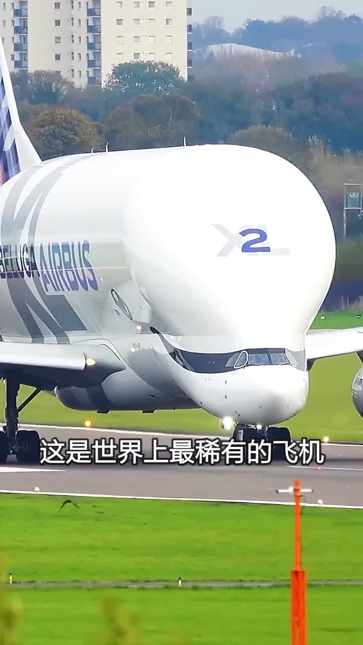 史上最可爱的货运飞机