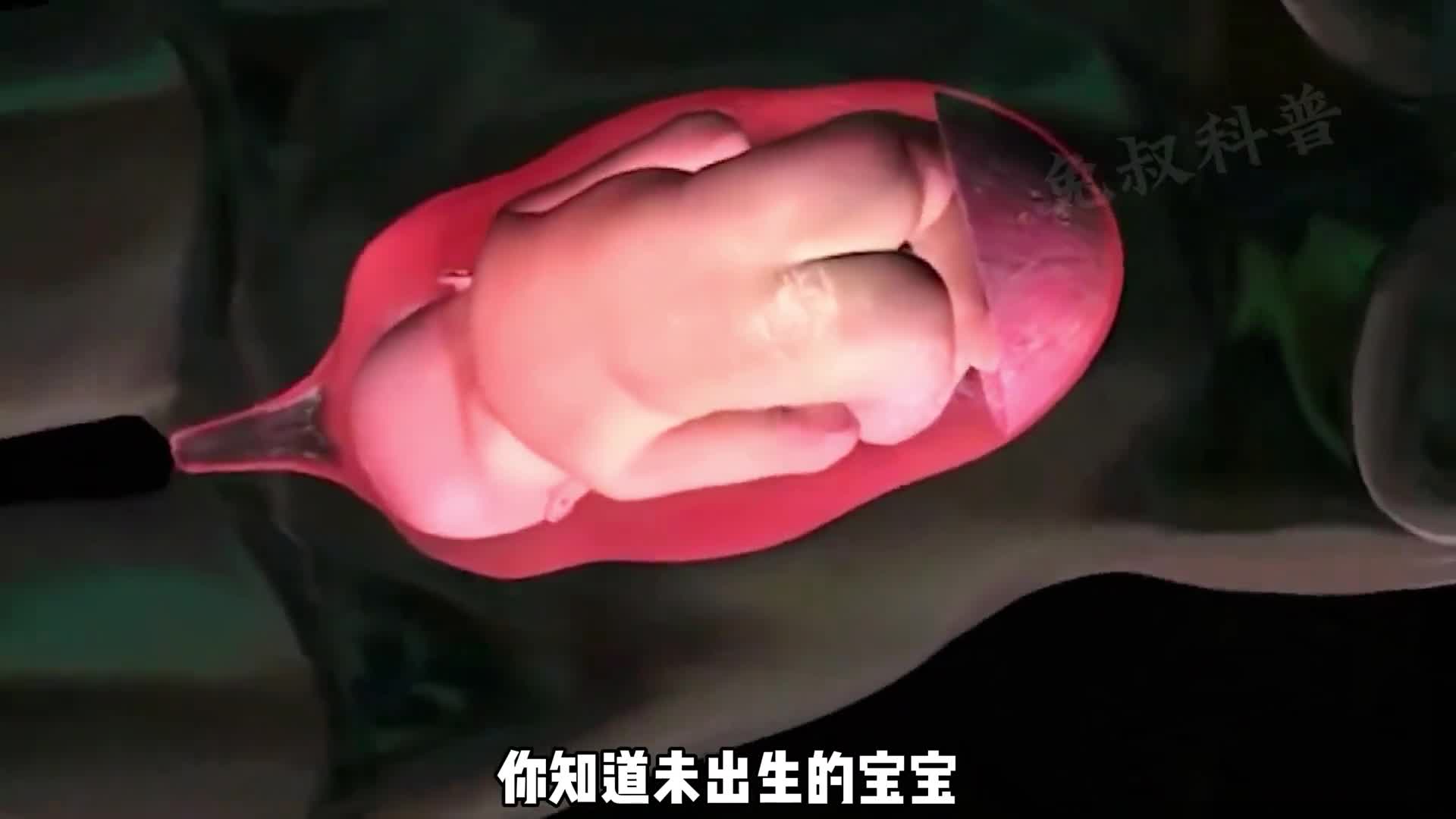 你知道每个胎儿在母亲肚子里都在做什么嘛真的只是吃喝拉撒嘛