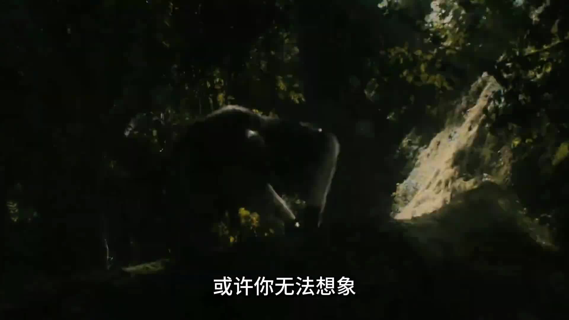 带你看人类居住的发展历程为什么越来越多的人看中得房率