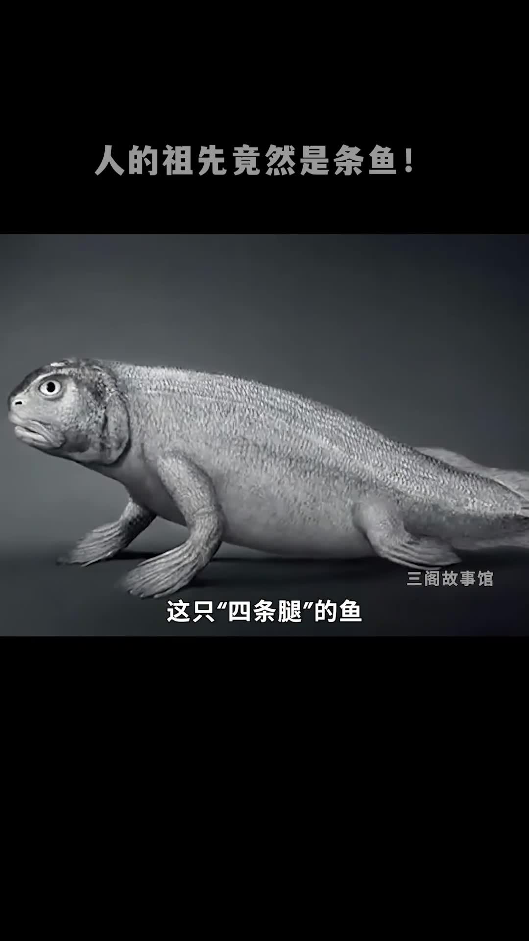人的祖先竟然是条鱼