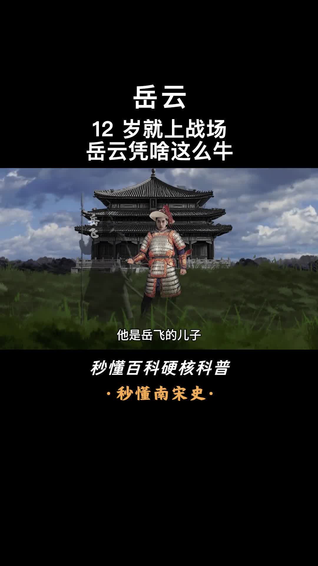 一口气看完岳云少年英雄卫山河