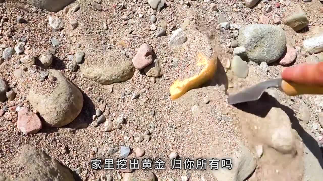 家里挖出黄金归你所有吗