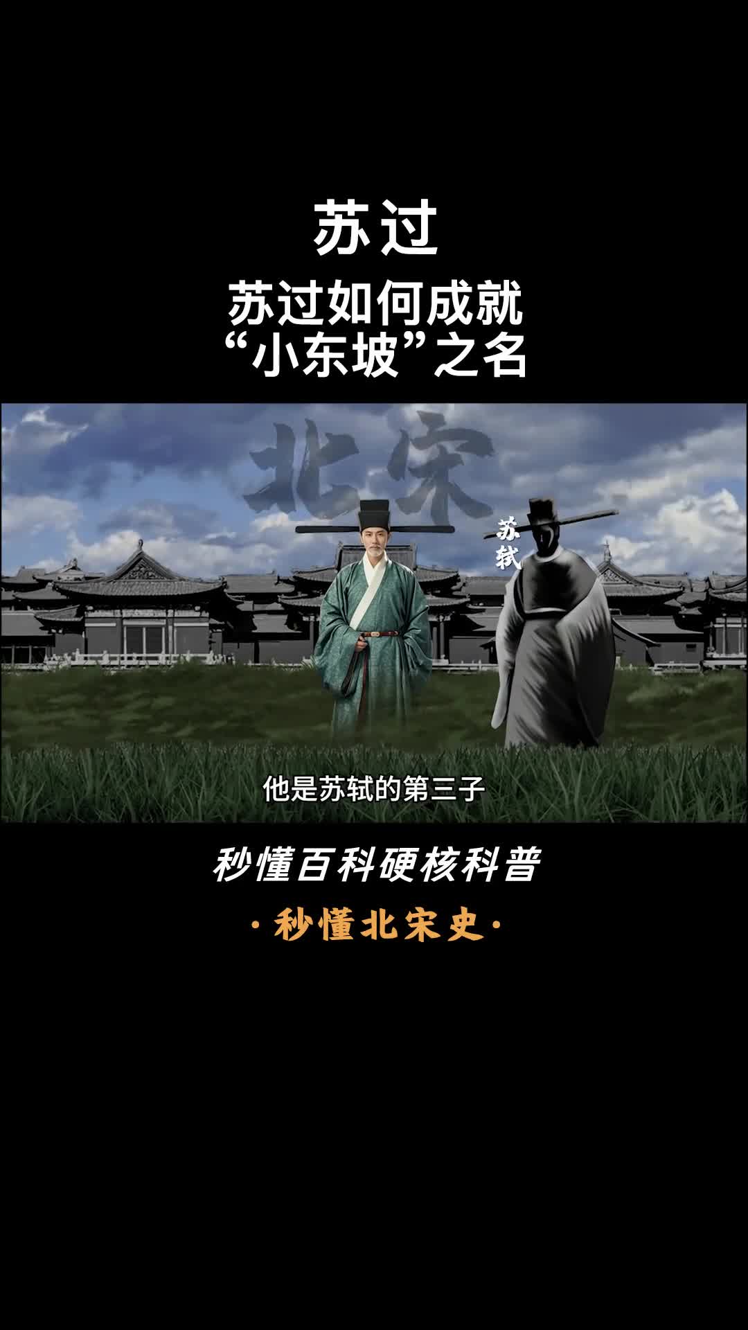 一口气看完苏过孝侍亲侧才赋流芳