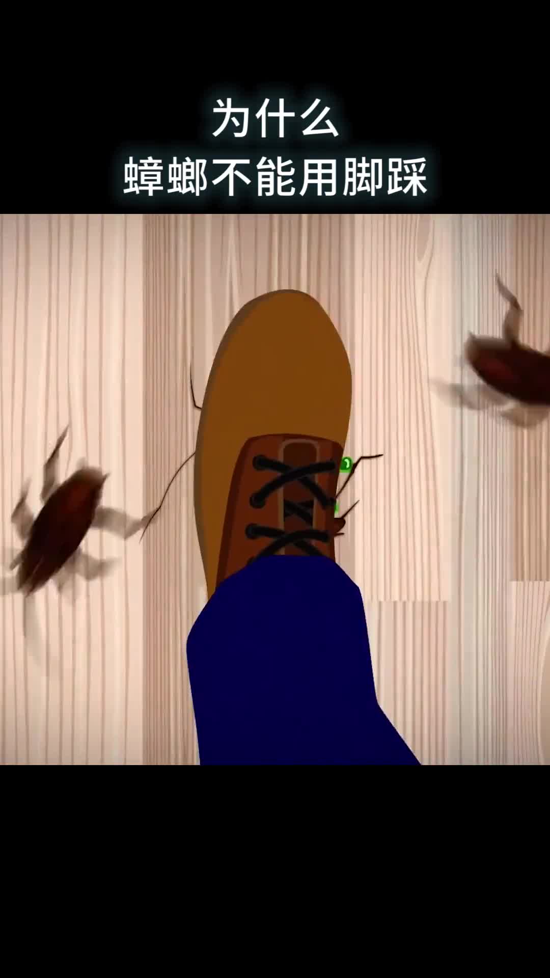 为什么蟑螂不能用脚踩