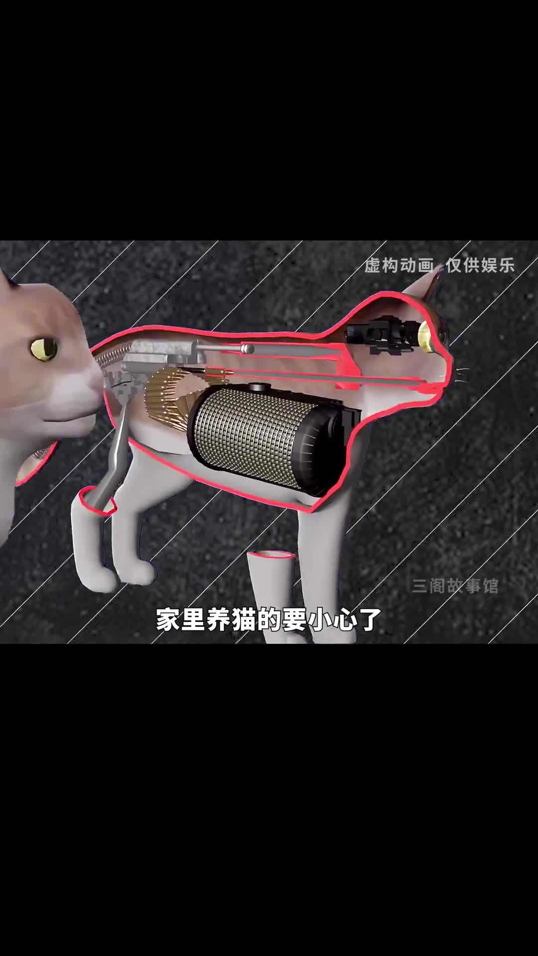 你的宠物可能是一支猫枪或狗枪哦