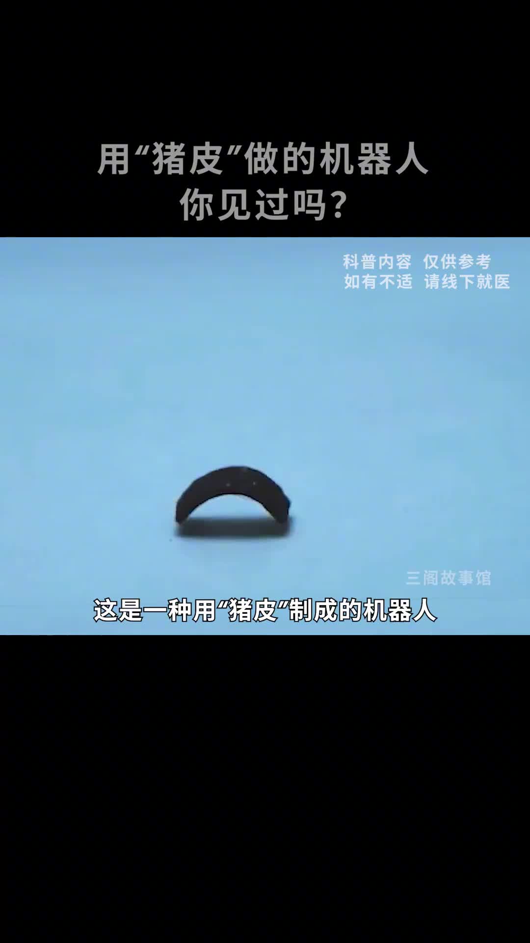 猪皮做的机器人你见过吗