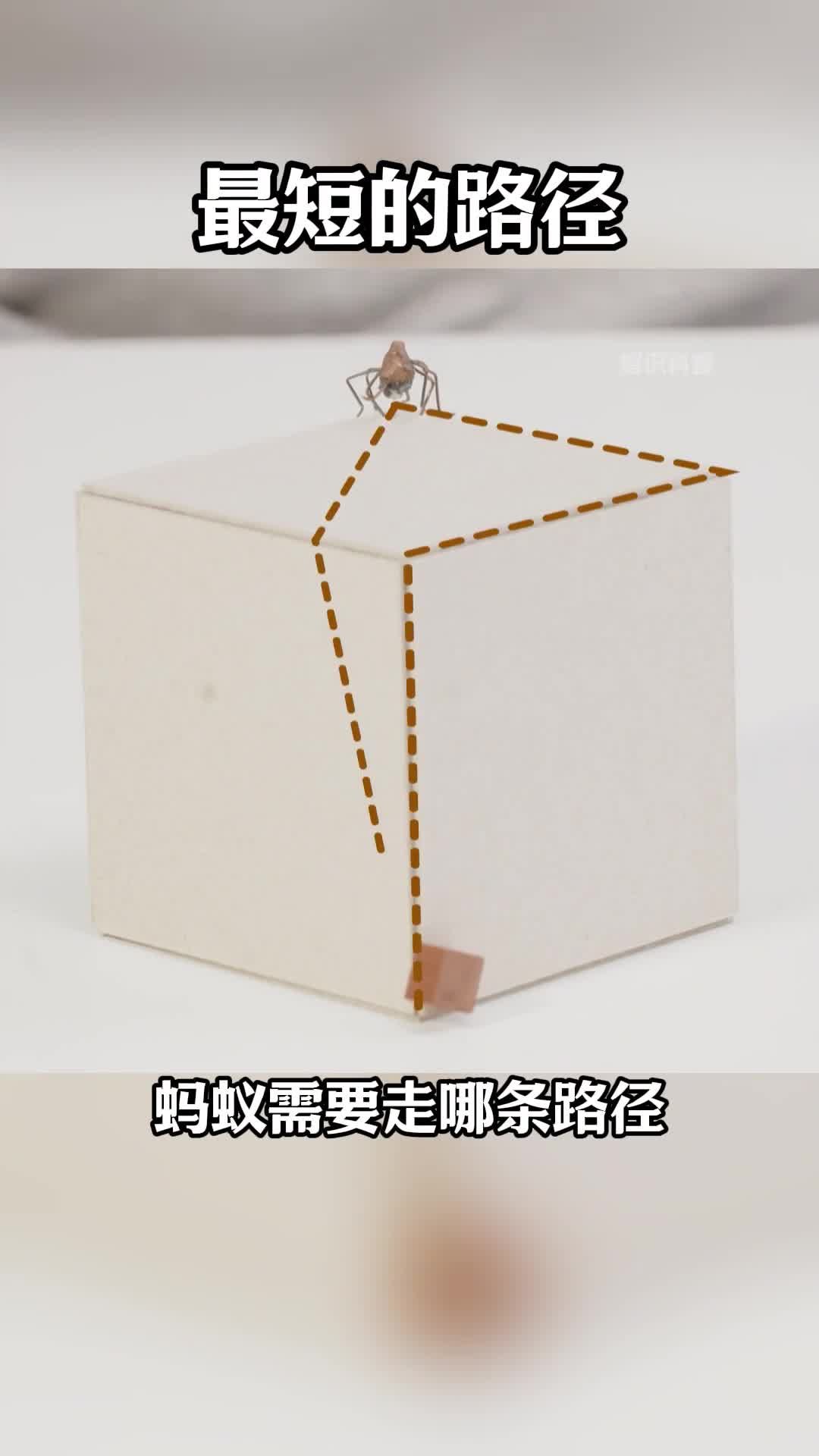 第107集丨最短的路径