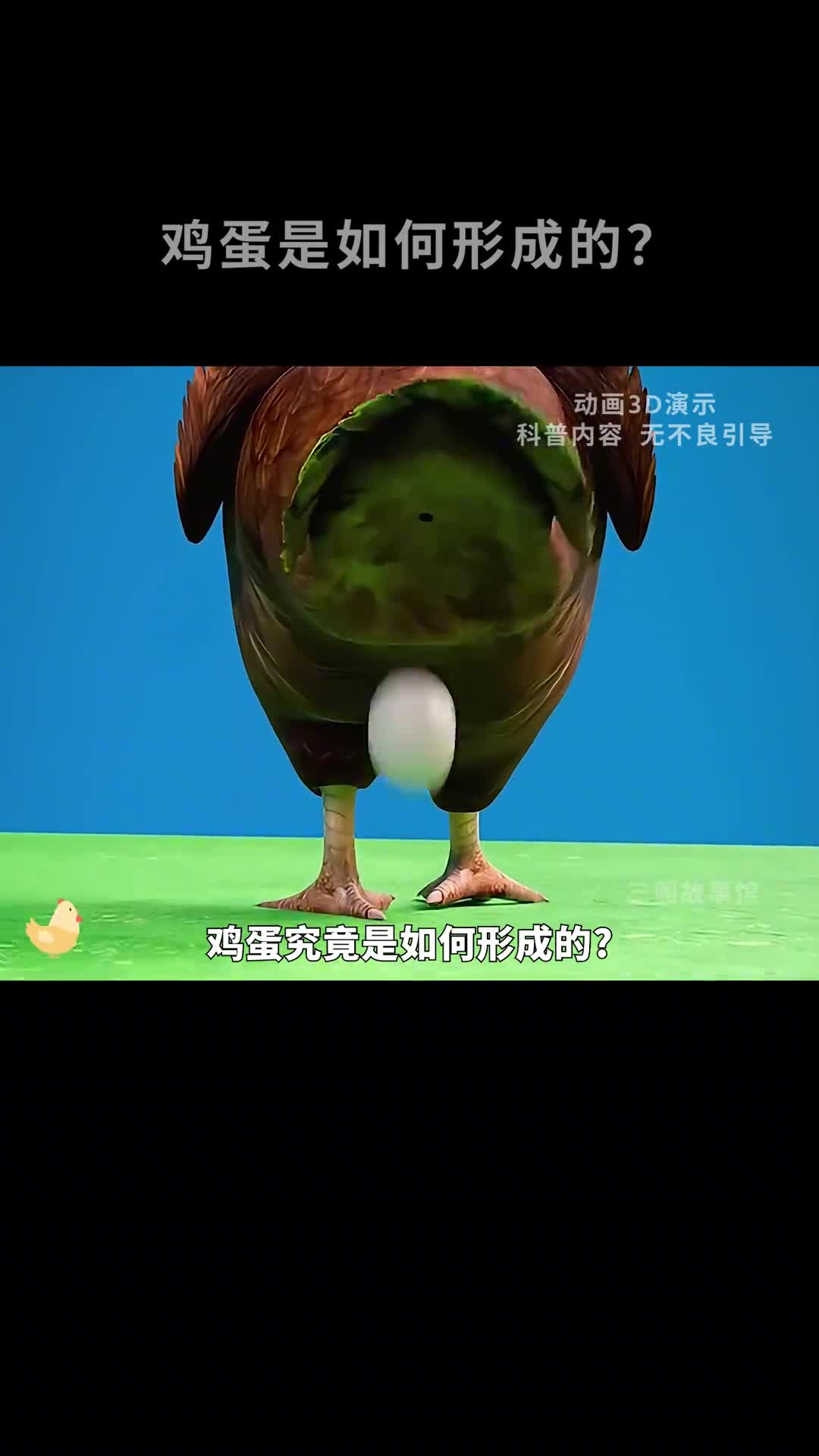 鸡蛋竟然是这么来的