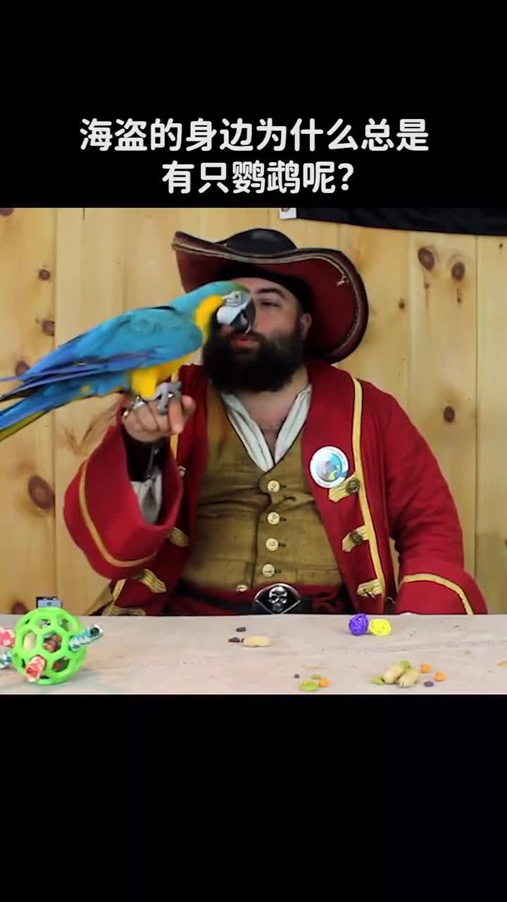 海盗的身边为什么总是有只鹦鹉呢